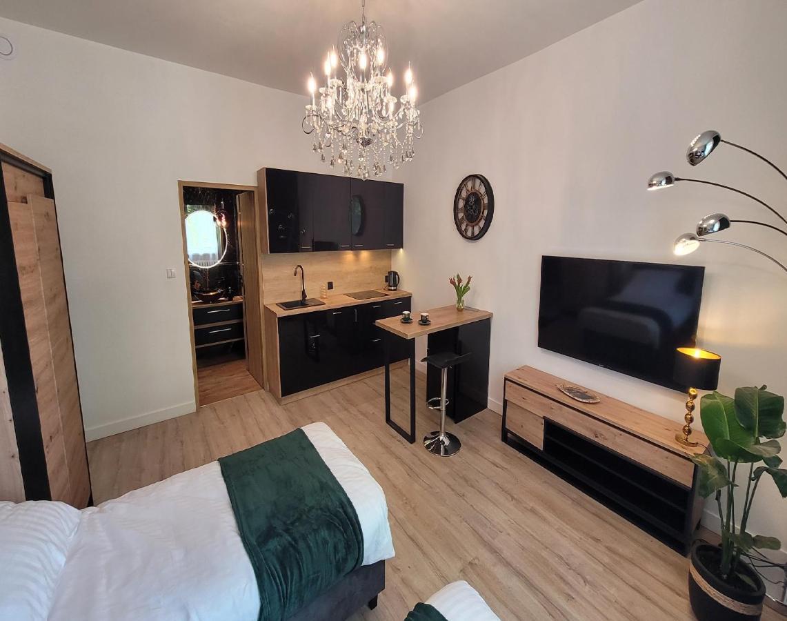 Good Day Apartment Centrum Katowice Extérieur photo