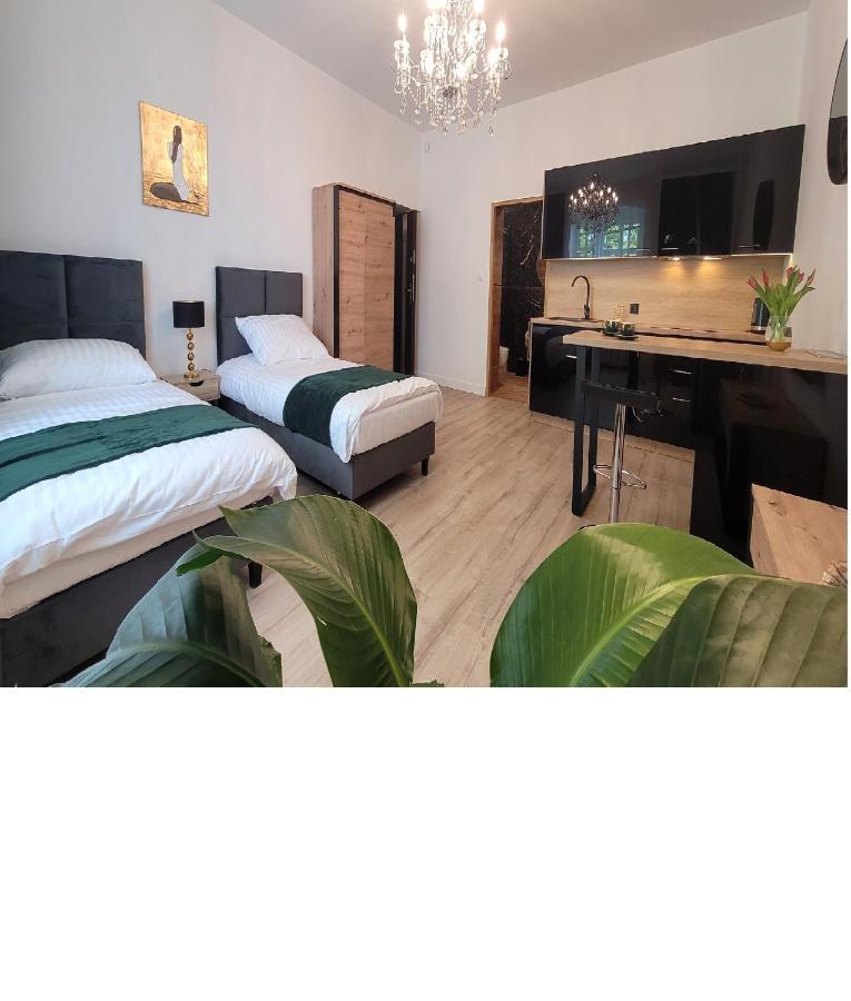 Good Day Apartment Centrum Katowice Extérieur photo