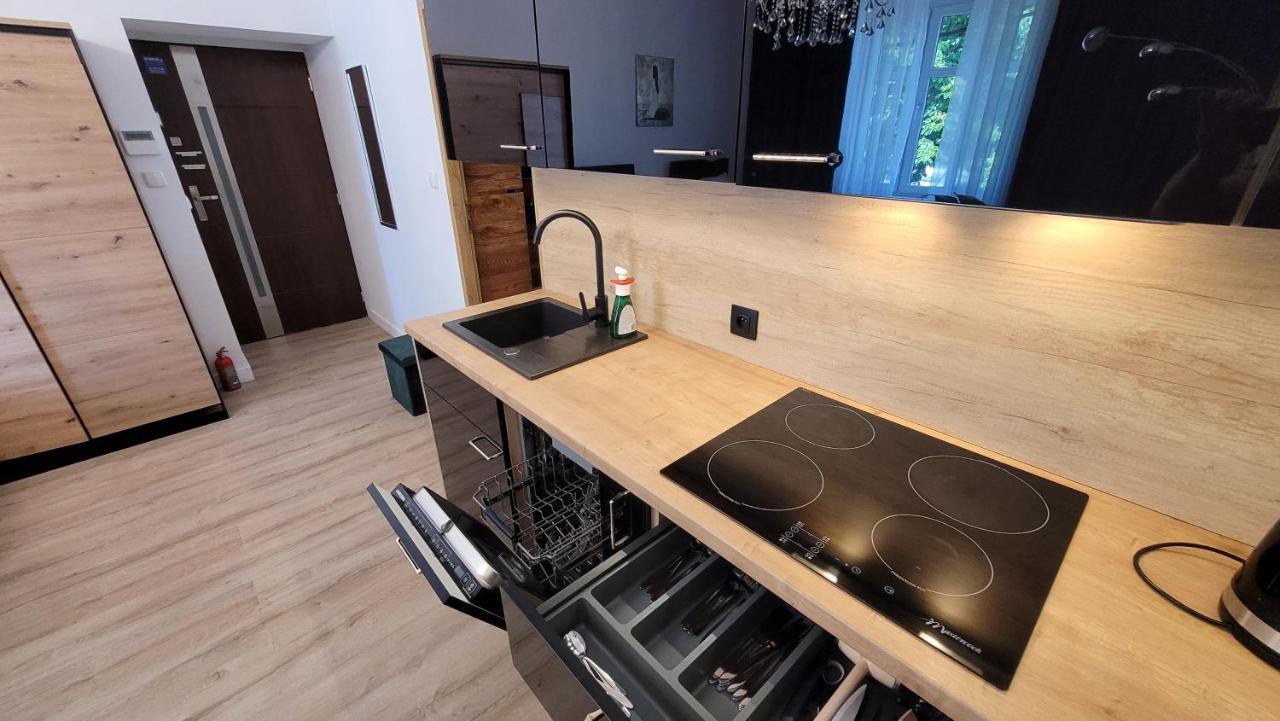 Good Day Apartment Centrum Katowice Extérieur photo